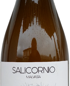 Casa Balaguer Salicornio Malvasia 2022