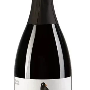 Lambrusco Mantovano Spumante Rosè “COCAI” – Fondo Bozzole