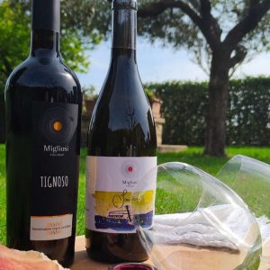 La Passione di Costanza – Box Migliosi 4 bottiglie