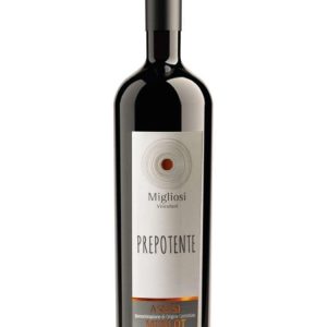 Merlot DOC Assisi Prepotente – Migliosi