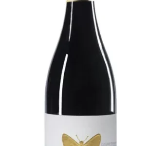 Montepulciano d’Abruzzo DOCG “Nostradamus” Riserva 2019 -Ausonia