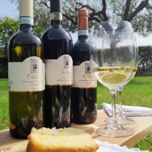 La Sincerità di Omero – Box Moretti Omero 3 Bottiglie