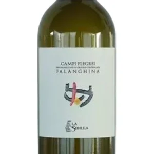 Falanghina DOC “Campi Flegrei” 2021-La Sibilla