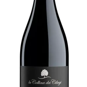 Amarone della Valpolicella DOCG 2018-La Collina dei Ciliegi